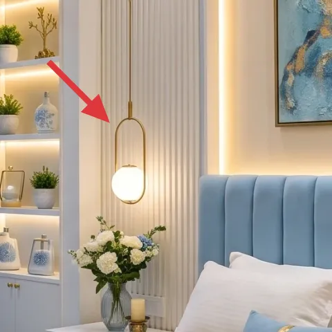 white display shelves niche unit with backlighting