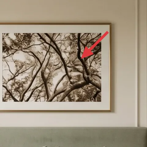 framed art print