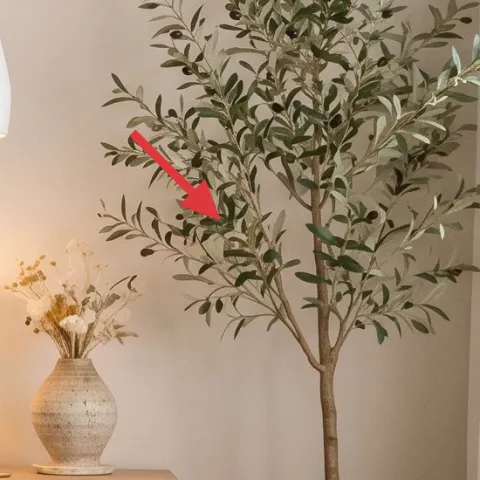 Large potted plant tree