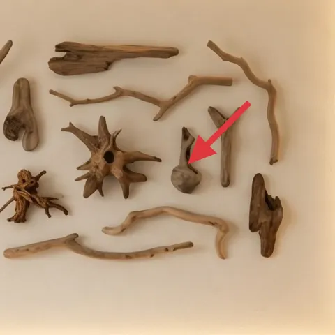 Driftwood wall art