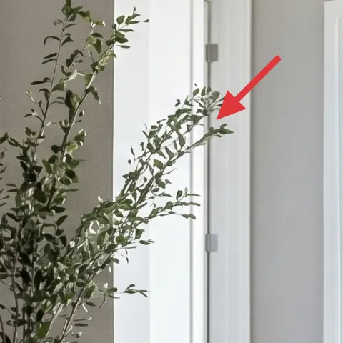 tall leafy indoor plant in woven pot