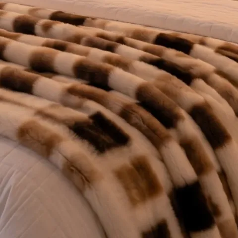 light-toned area rug