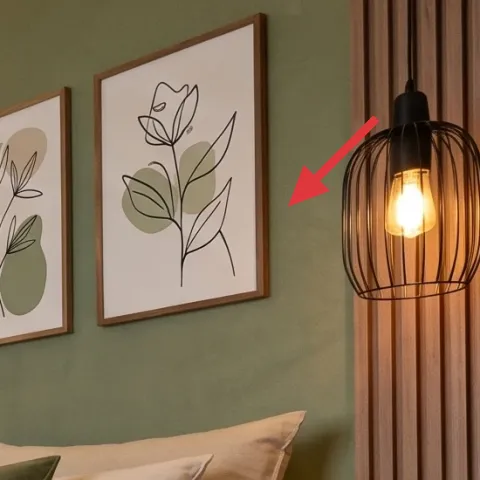 three botanical framed prints